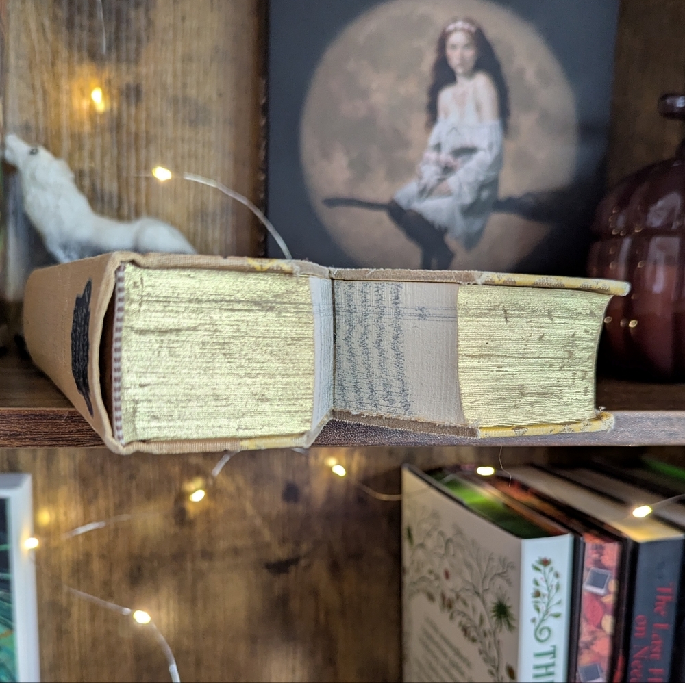Book Decor - Picture 4 of 5